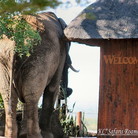 Roamers Rest Safari Lodge Balule Game Reserve Exterior photo