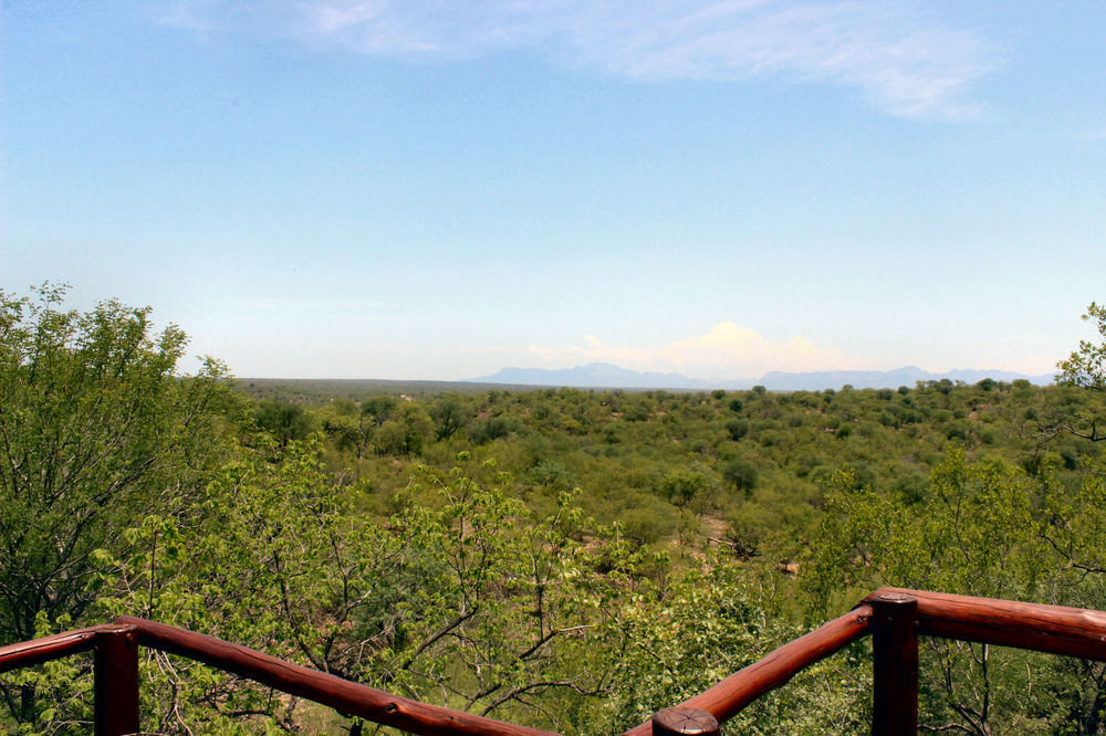 Roamers Rest Safari Lodge Balule Game Reserve Exterior photo