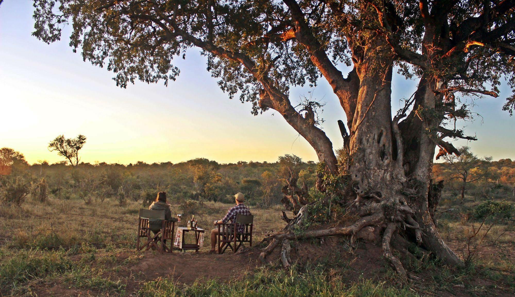 Roamers Rest Safari Lodge Balule Game Reserve Exterior photo